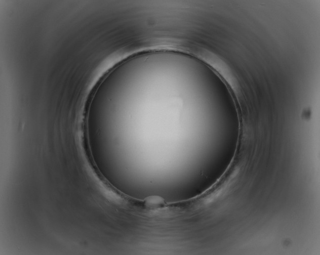 X0000101471093200807141345