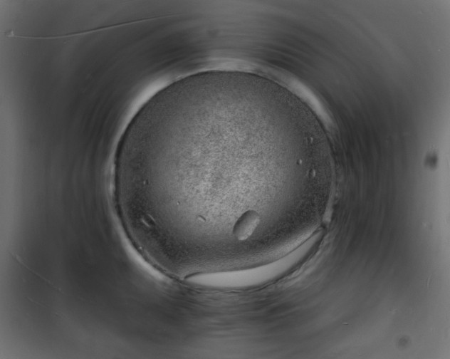 X0000101471095200807141345