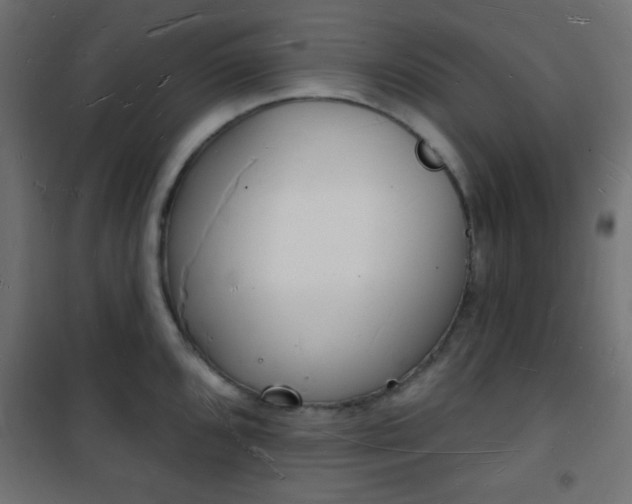 X0000101471096200807141345