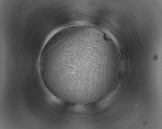 X0000101471098200807141345