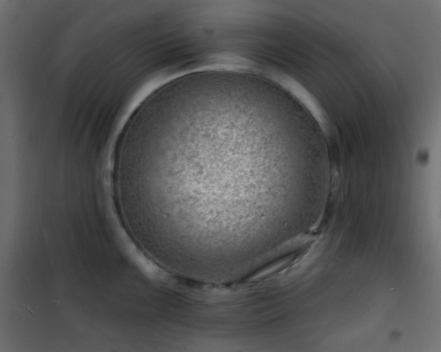 X0000101471099200807141345