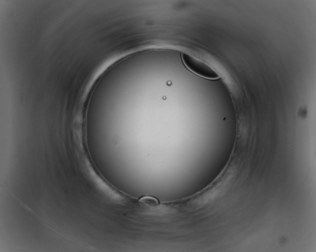 X0000101471100200807141345