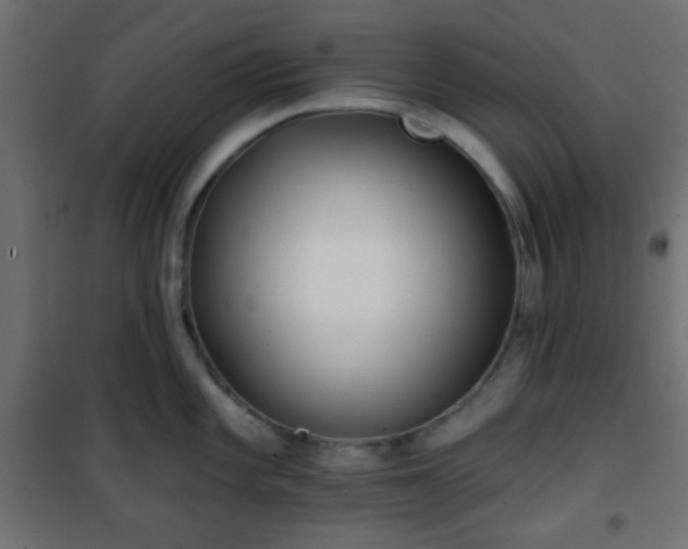 X0000101471101200807141345