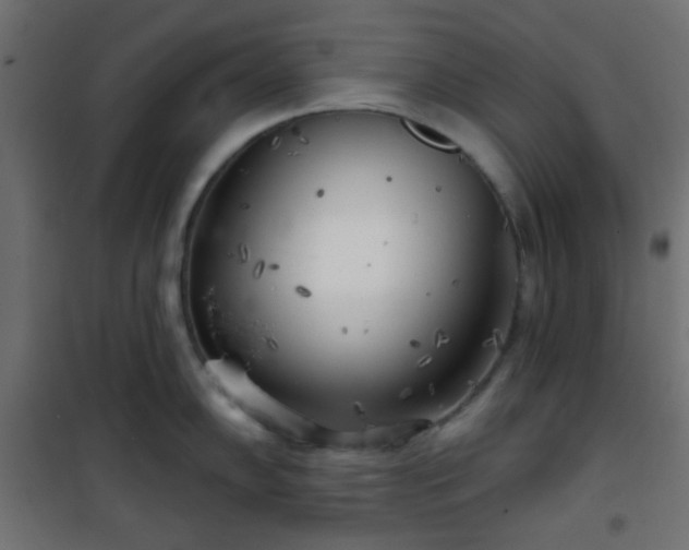 X0000101471102200807141345