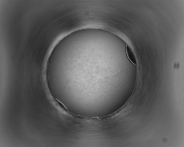 X0000101471104200807141345