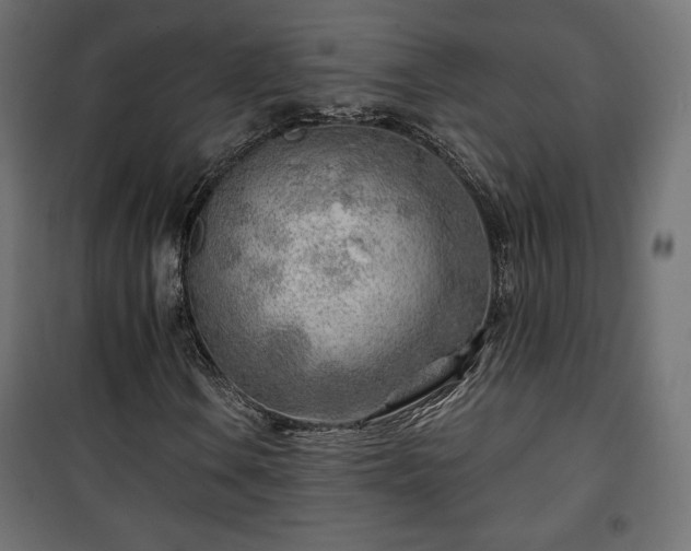 X0000101471106200807141344