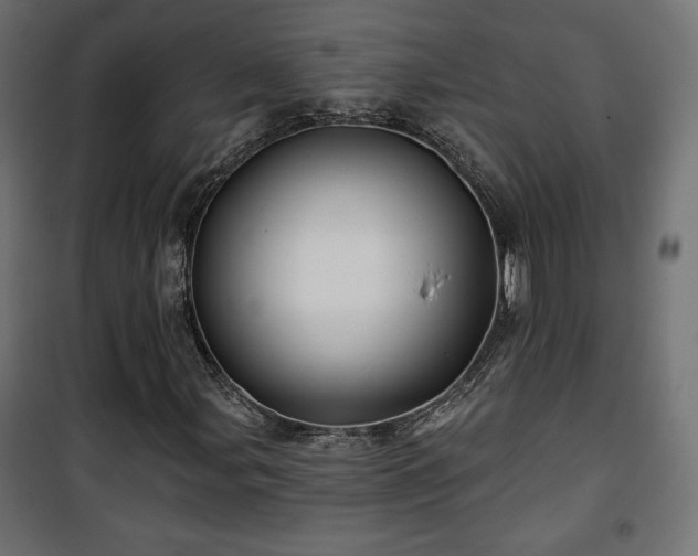 X0000101471107200807141344