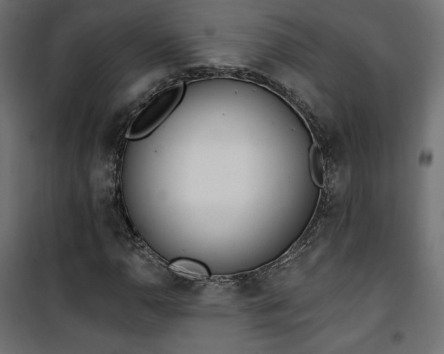 X0000101471110200807141344