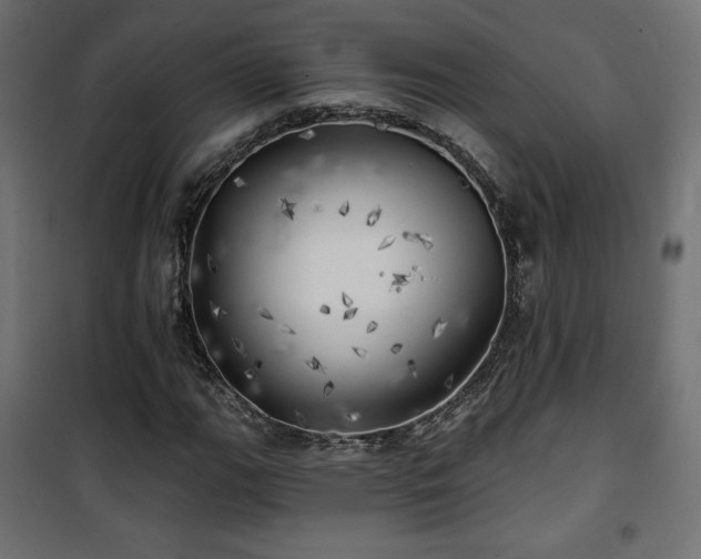 X0000101471111200807141344