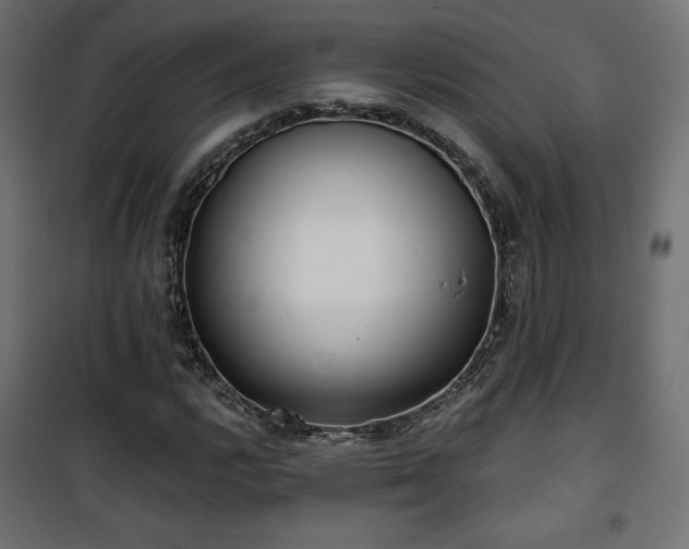 X0000101471112200807141344