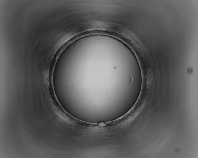 X0000101471113200807141344