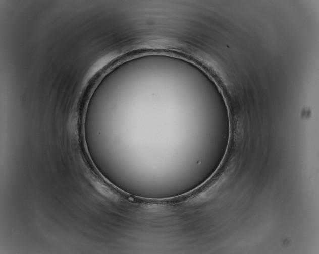 X0000101471114200807141344