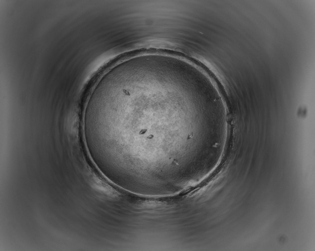 X0000101471115200807141344