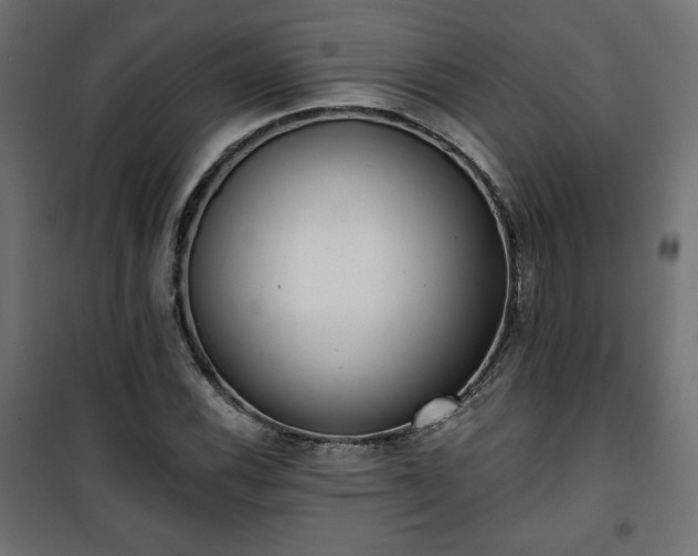 X0000101471116200807141344