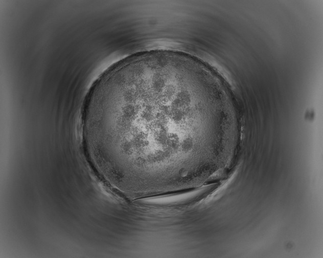 X0000101471117200807141344