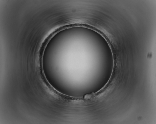 X0000101471118200807141344