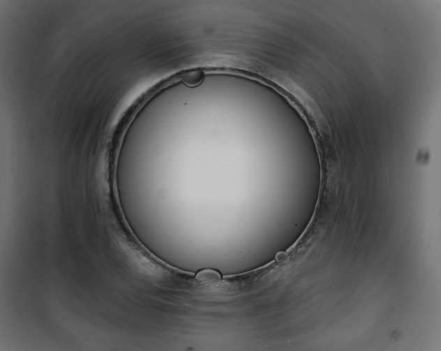 X0000101471120200807141344