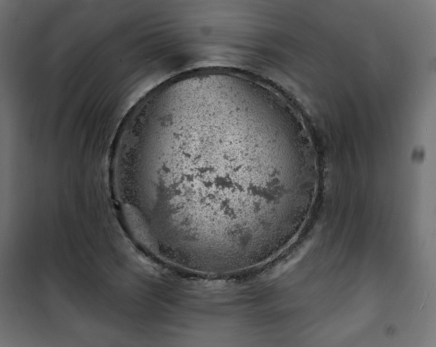 X0000101471121200807141344