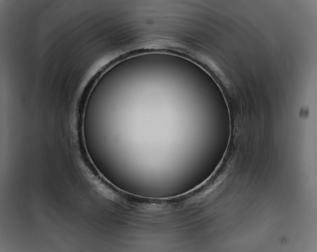 X0000101471122200807141344