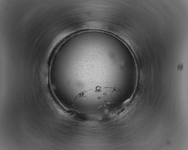 X0000101471123200807141344
