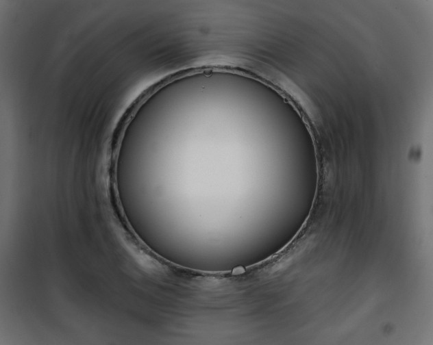 X0000101471124200807141345