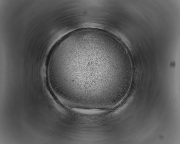 X0000101471125200807141345