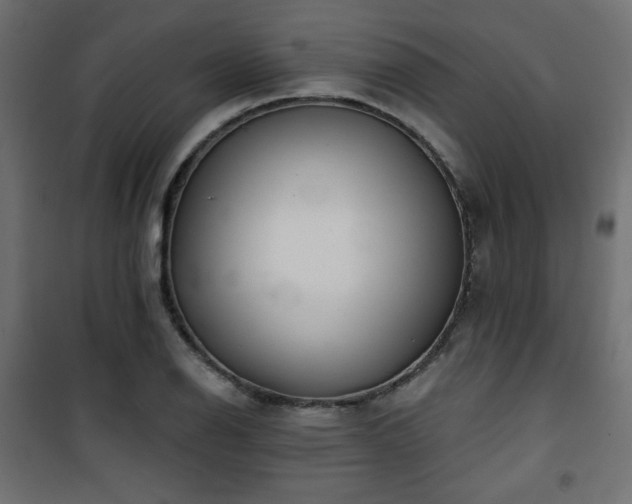 X0000101471126200807141345