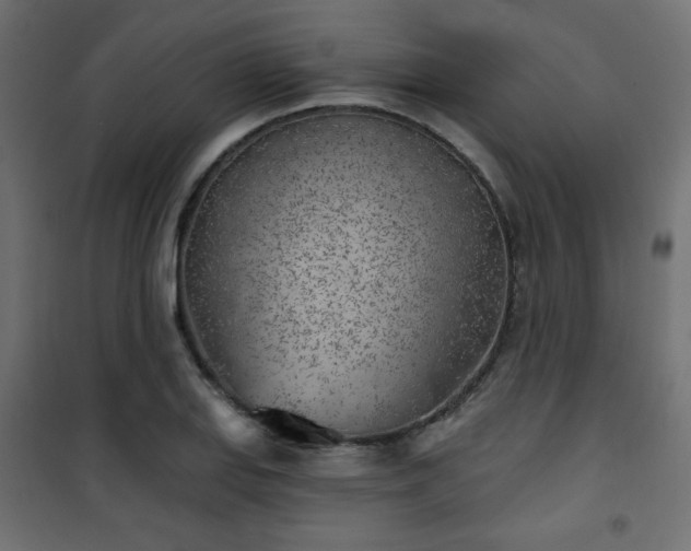 X0000101471127200807141345