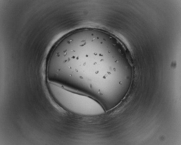 X0000101471128200807141345