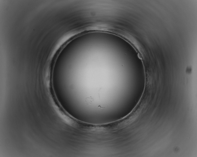 X0000101471131200807141345