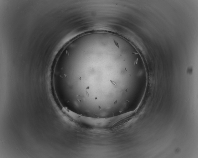 X0000101471133200807141345