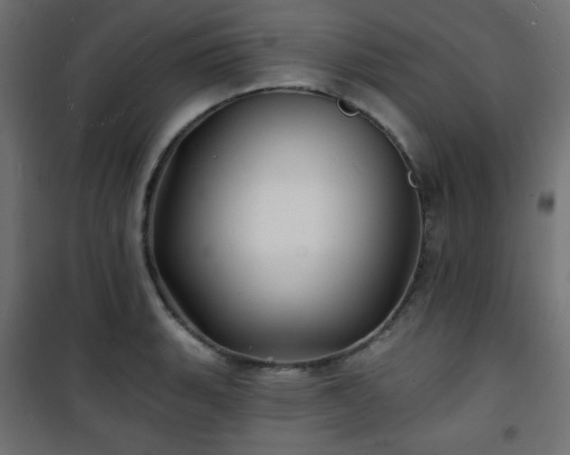 X0000101471135200807141345