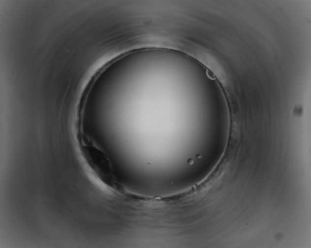 X0000101471136200807141345