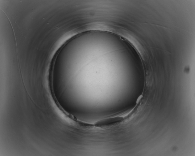 X0000101471139200807141345