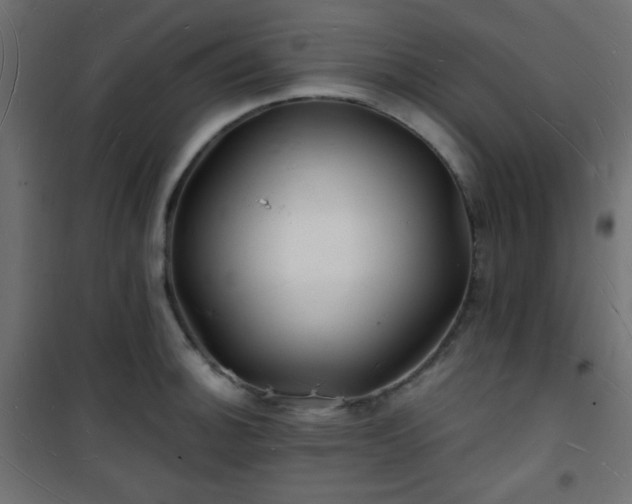 X0000101471140200807141345