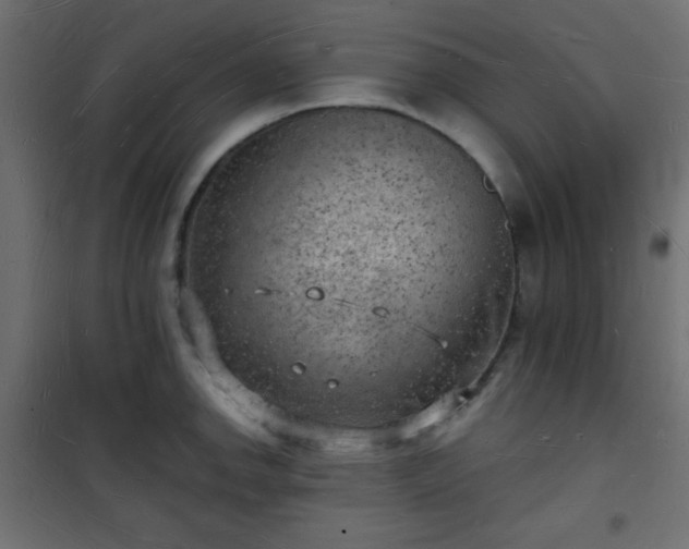 X0000101471142200807141345