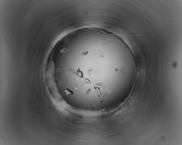 X0000101471143200807141345