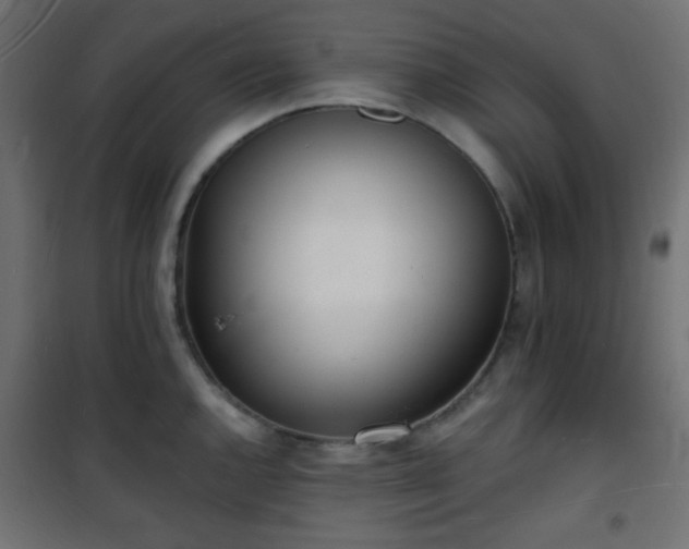 X0000101471144200807141345