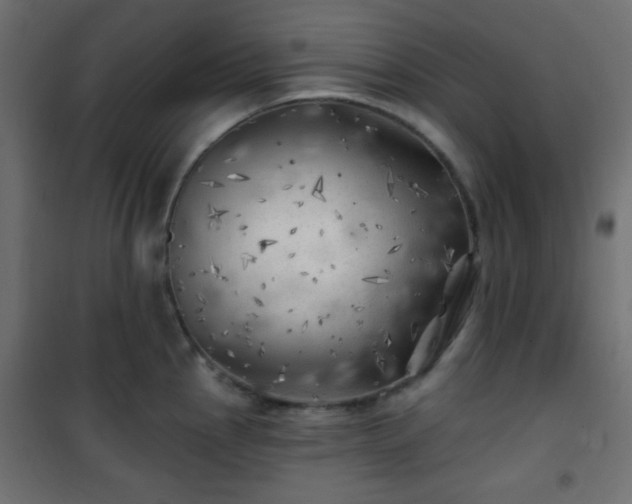 X0000101471145200807141345