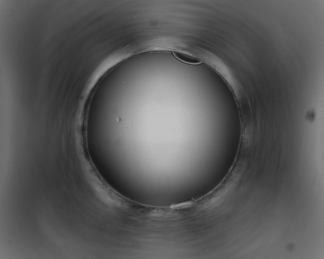 X0000101471146200807141345