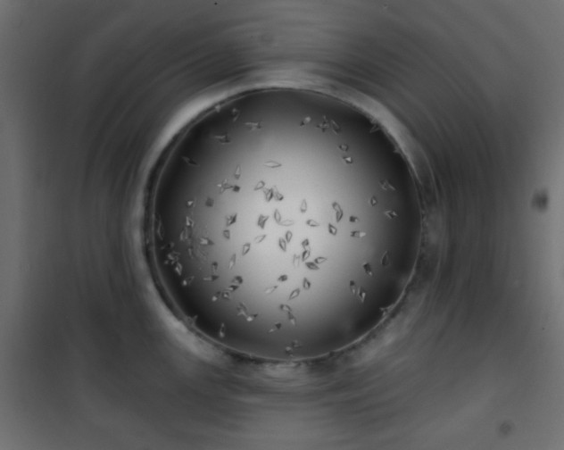 X0000101471147200807141345