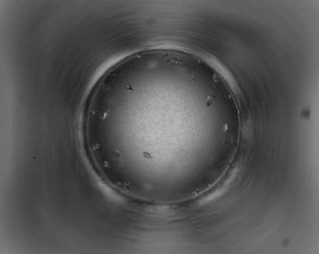 X0000101471149200807141345