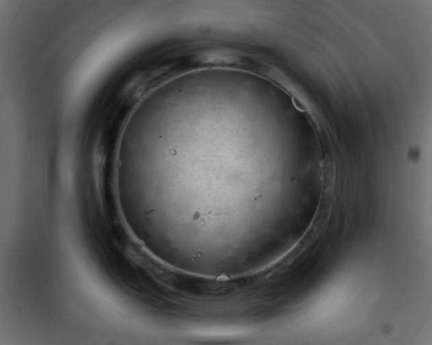 X0000101471151200807141345