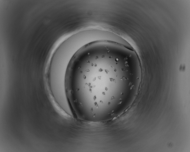 X0000101471152200807141345