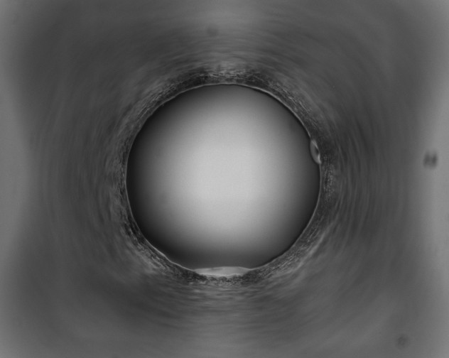 X0000101471153200807141344