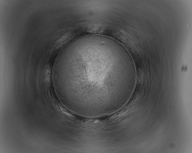 X0000101471154200807141344