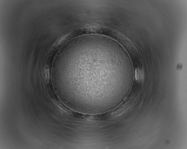 X0000101471155200807141344