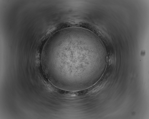 X0000101471156200807141344