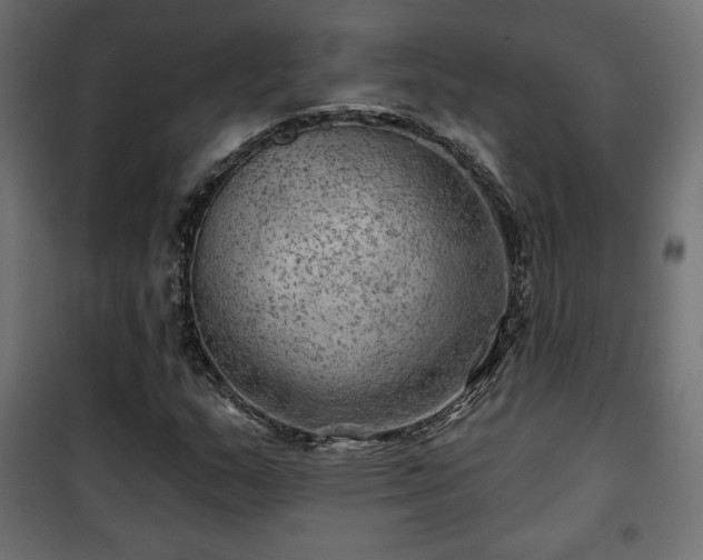 X0000101471159200807141344