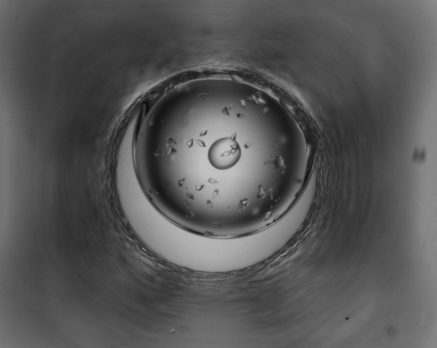 X0000101471160200807141344